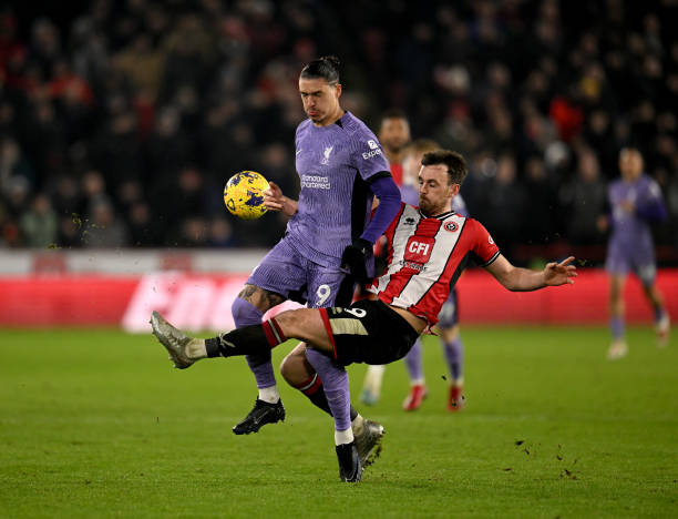 的活力与拼 的活力与拼