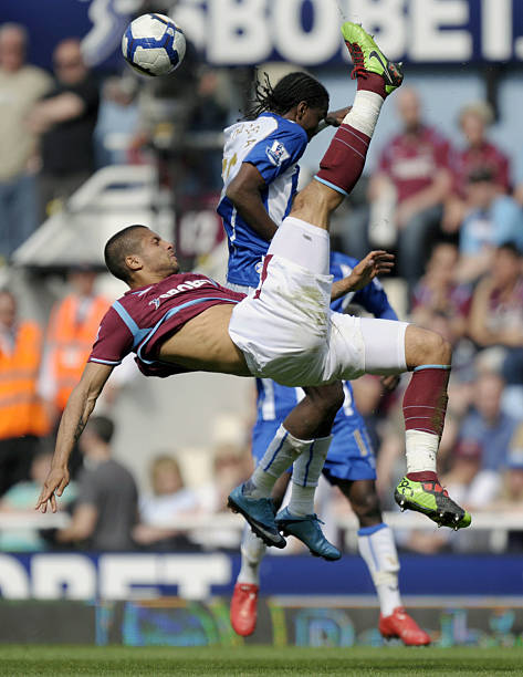 这不仅证明 这不仅证明